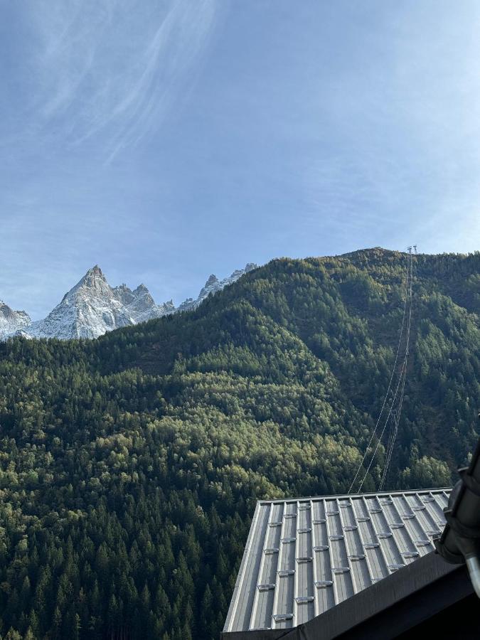 Cocon Au Coeur De Avec Parking Gratuit Appartamento Chamonix